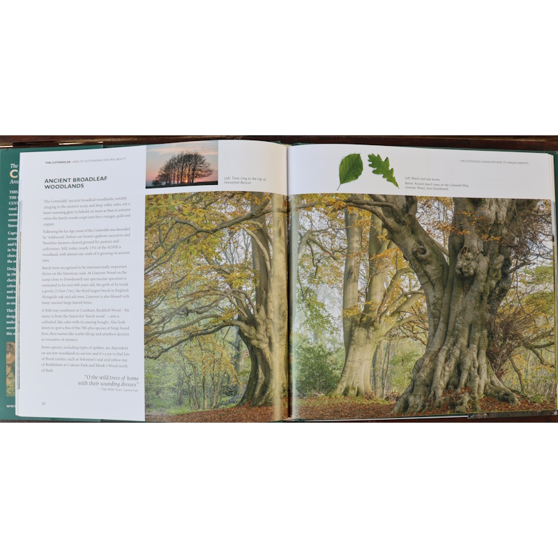 Cotswold Pictorial Book - Image 3